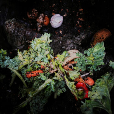 Gardening – Composting