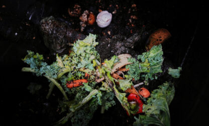 Gardening – Composting