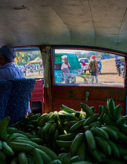 REP-GEN LATINOAMÉRICA EN IMÁGENES-FOTOS