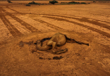 Somalia Drought