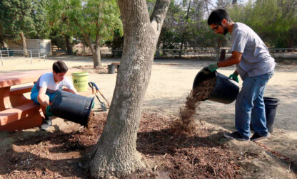 Gardening Mulch