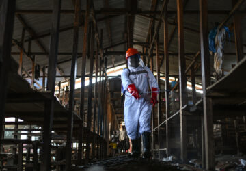 APTOPIX Congo Ebola