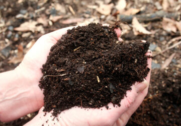 Gardening Mulch