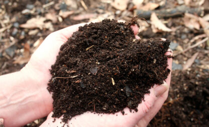 Gardening Mulch