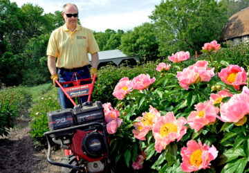 Gardening – Debunking Myths