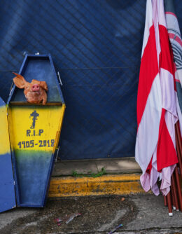 LATINOAMÉRICA EN IMÁGENES-FOTOS