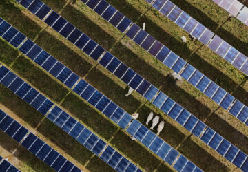 Climate Solar Versus Coal
