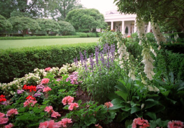 Gardening-White House Rose Garden