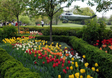 Gardening-White House Rose Garden