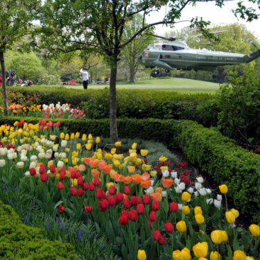 Gardening-White House Rose Garden
