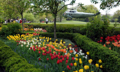 Gardening-White House Rose Garden