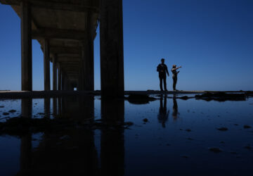 Climate Marine Heat Wave Dead Seabirds