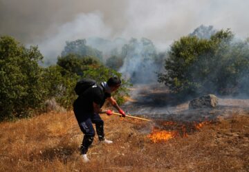 Climate Wildfires Global