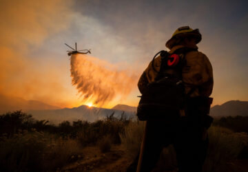 Climate Wildfires Global