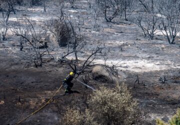 Climate Wildfires Global