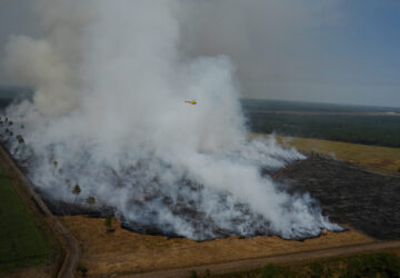 Climate Wildfires Global