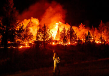 Climate Wildfires Global