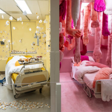 California Hospital of Emotions