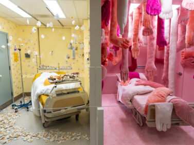 California Hospital of Emotions