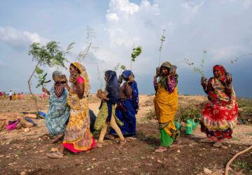 APTOPIX India Planting Trees