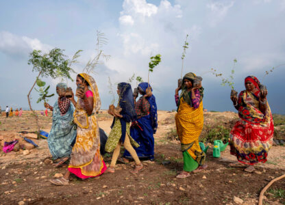 APTOPIX India Planting Trees