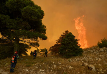 Climate Hottest Year