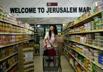 Immigrant Grocery Comedy Tour