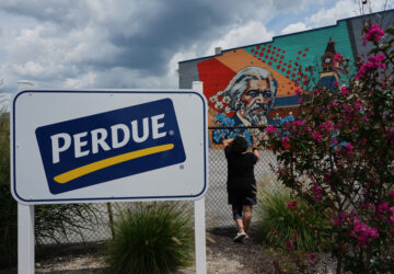 Immigration TPS Anxious Haitians