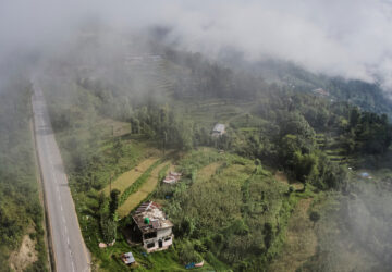 Nepal Monkeys Photo Essay
