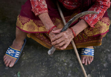 Nepal Monkeys Photo Essay