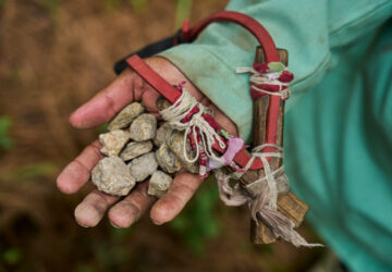 Nepal Monkeys Photo Essay