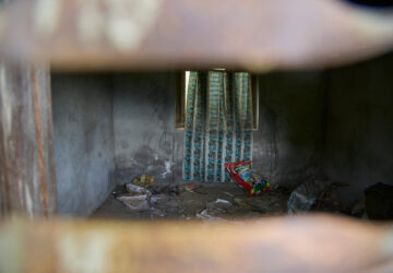 Nepal Monkeys Photo Essay
