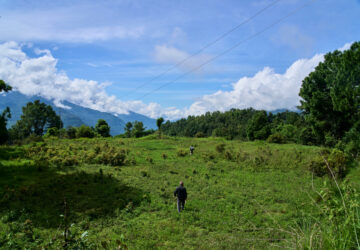 Nepal Monkeys Photo Essay