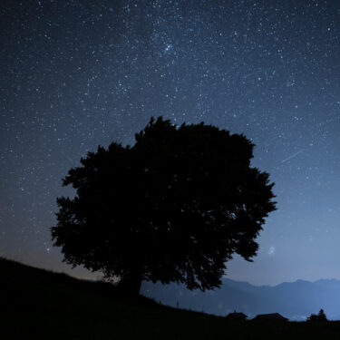 Meteor Shower