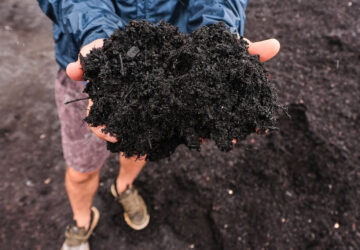 Climate Plastic Pollution Solutions