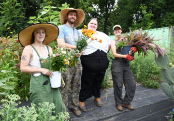 Gardening Crowdsourcing Flower Beds
