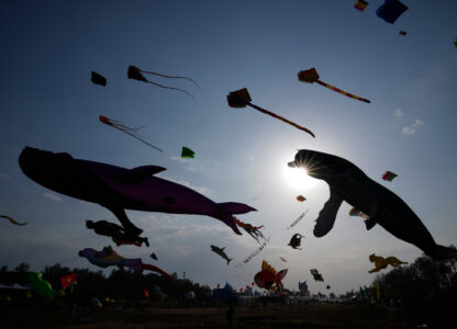India International Kite Festival