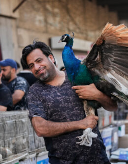 APTOPIX Iraq Daily Life