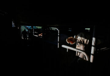 APTOPIX Mexico Diary Farm