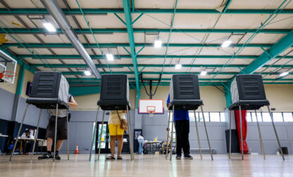 Election 2026 Noncitizen Voting