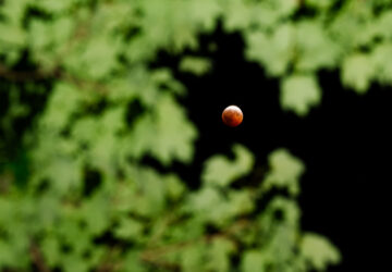 Kentucky Lunar Eclipse