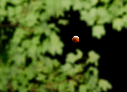Kentucky Lunar Eclipse
