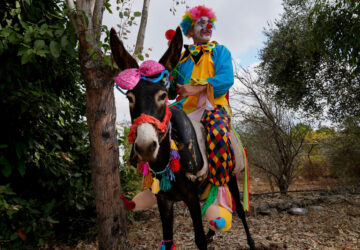 Lebanon Donkey Racing