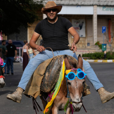 Lebanon Donkey Racing
