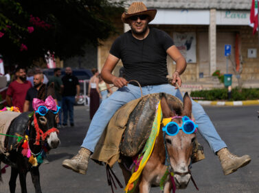 Lebanon Donkey Racing