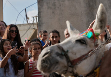 Lebanon Donkey Racing