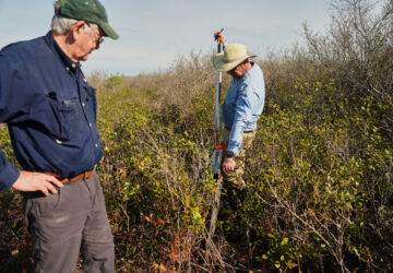 Climate Peatlands Restoration