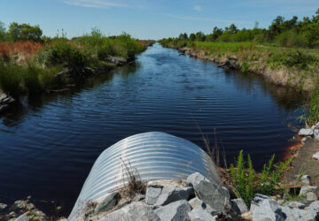 Climate Peatlands Restoration