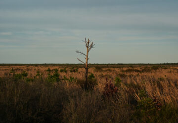 APTOPIX Climate Peatlands Restoration