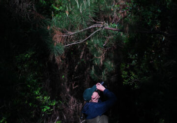 Climate Peatlands Restoration